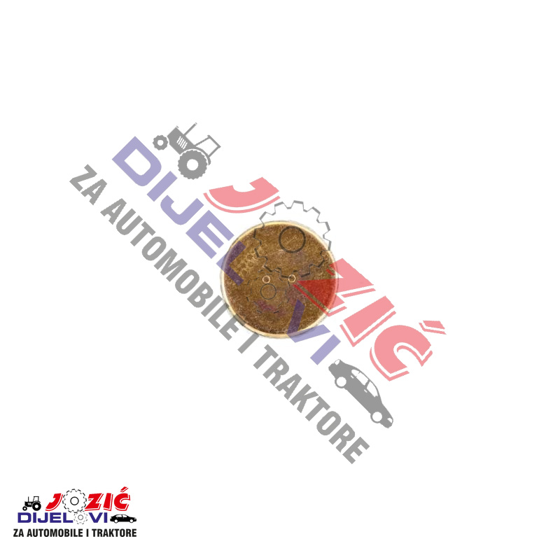 Daisy on the Ohoopee